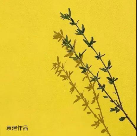 掌握这些摄影技巧，手机也能拍大片