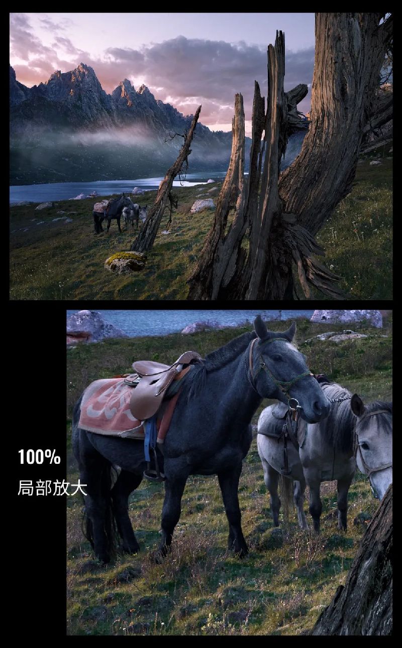 以高于生活的视角观看，感知生命荣枯与四季轮回